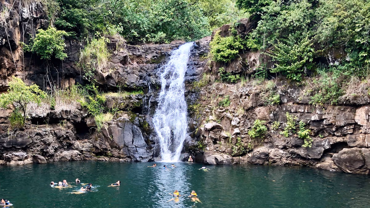 Waimea Valley & Waterfall — about 60 min from Waikiki