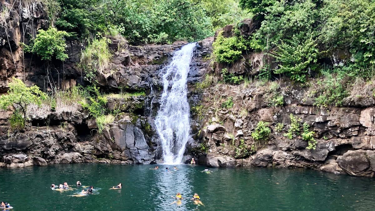 Waimea Valley & Waterfall — about 60 min from Waikiki